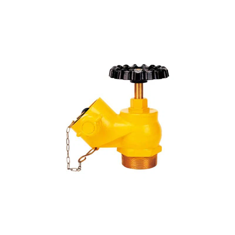 DN65 Landing Valve Oblique Type
